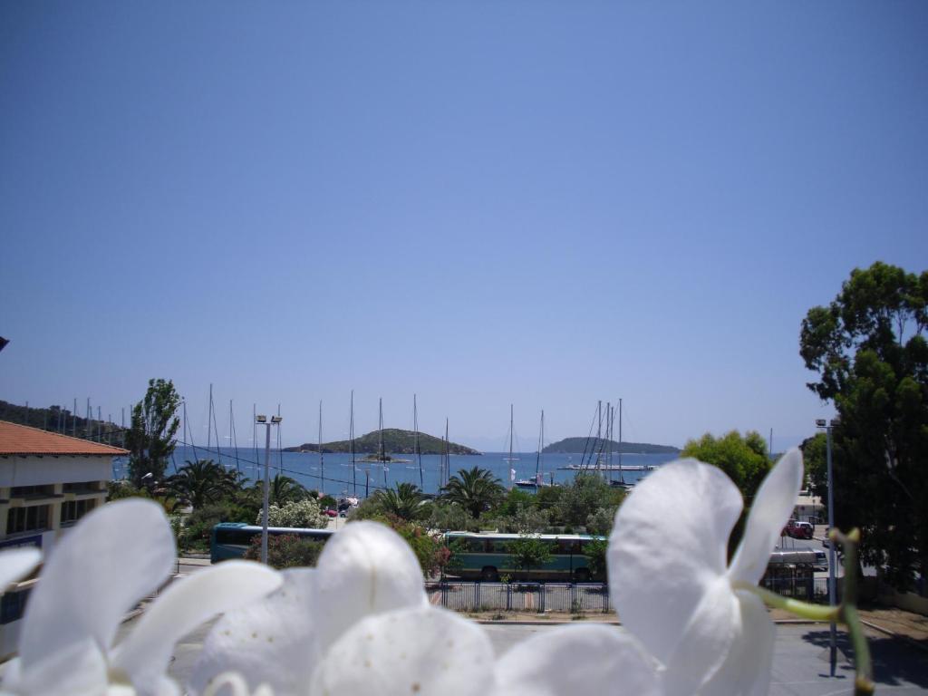 Ifigenia Hotel Skiathos Town Room photo