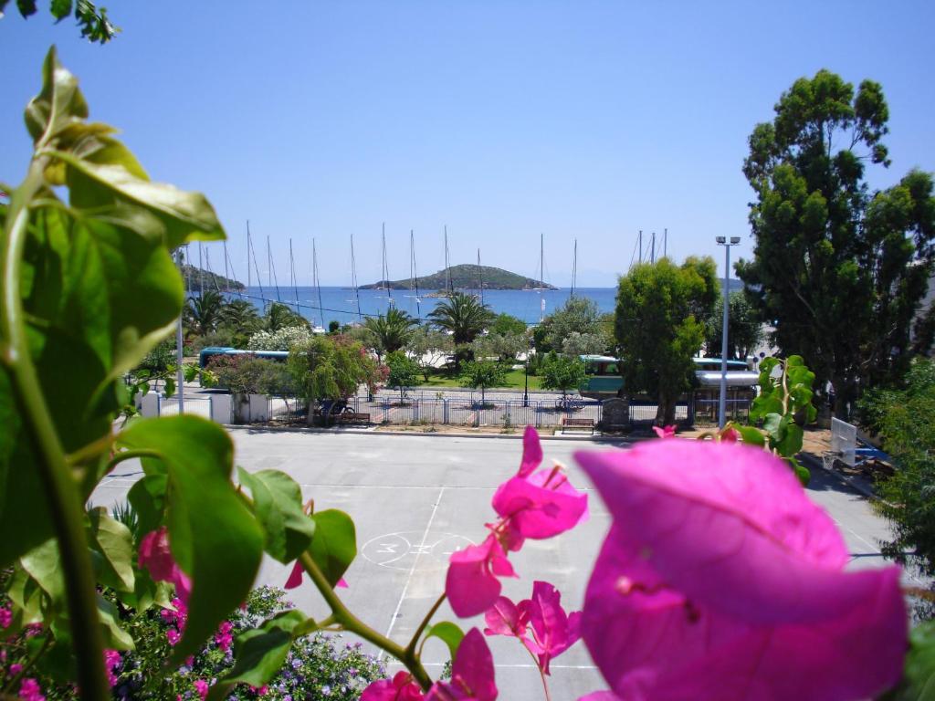 Ifigenia Hotel Skiathos Town Room photo